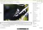 NatureInstruct