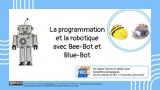 Formation programmation bee bot