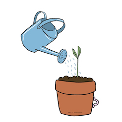 Image plante
